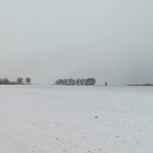 IMG_20210117_145927_413