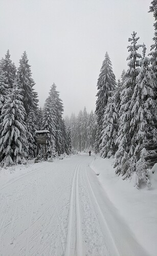 PXL_20210109_113356602