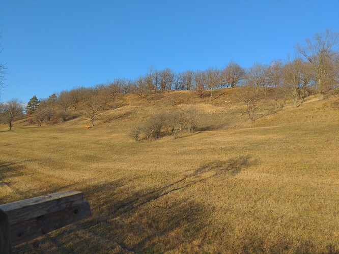 16081240516067152875257995305268