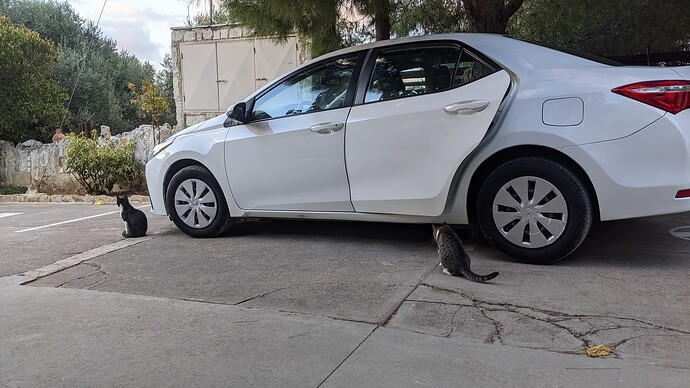 PXL_20211004_154423558