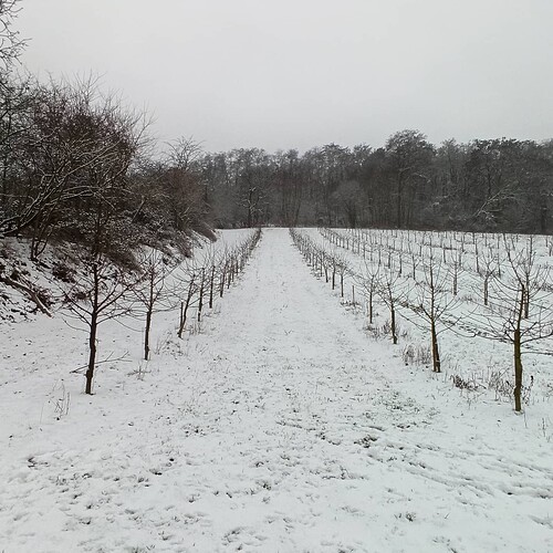 IMG_20210117_145927_423