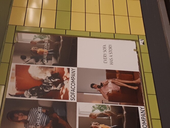 16333324949987911990018814871417