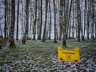 PXL_20201225_141420586-01