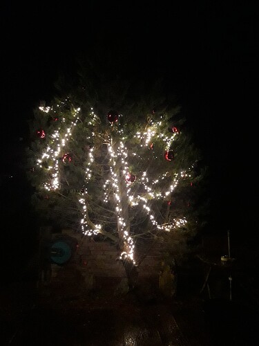 16403625801194809569146144700331