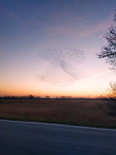 IMG_20210329_201723