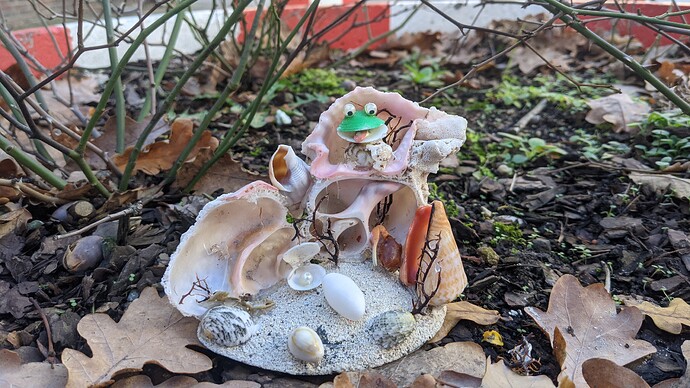 PXL_20201225_120506705