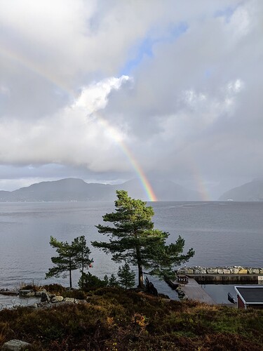 PXL_20211110_114728861