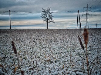 PXL_20201225_141106903-01