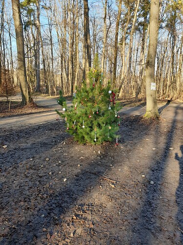 16082925796553328772928661664101