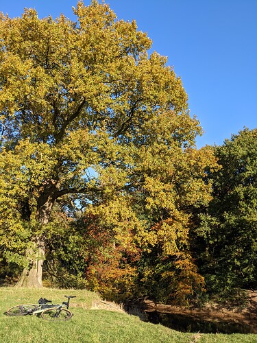 PXL_20211028_140046035