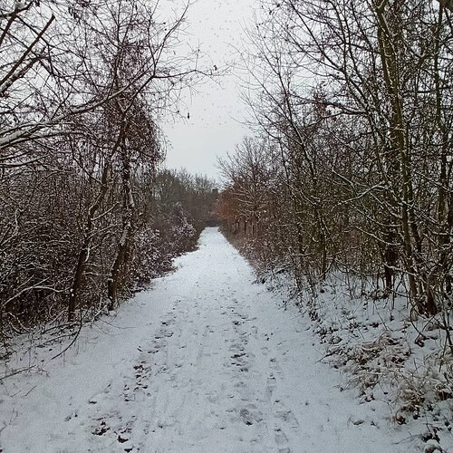 IMG_20210117_145927_417