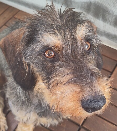 IMG_20240414_104112~2