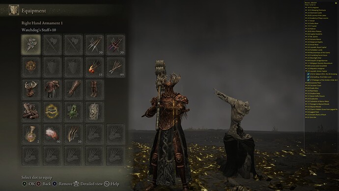165Radagon and Elden Beast