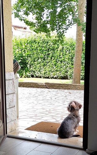 IMG_20240917_113213~2