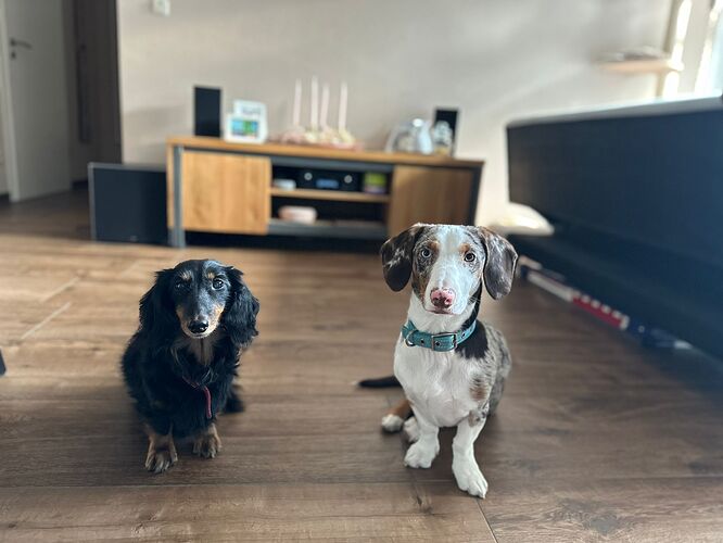 WhatsApp Image 2024-01-05 at 08.54.19