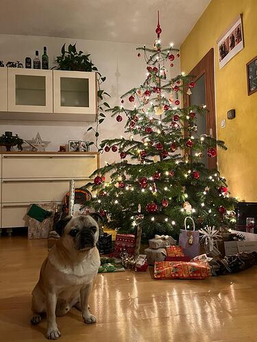 WhatsApp Bild 2023-12-24 um 19.35.09_f7316fe3