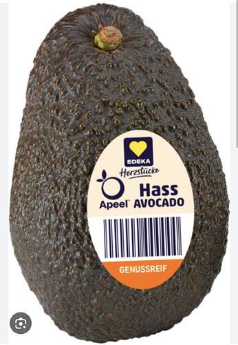 Screenshot_20260219-103943