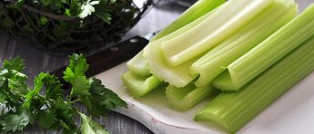 shutterstock_140478652