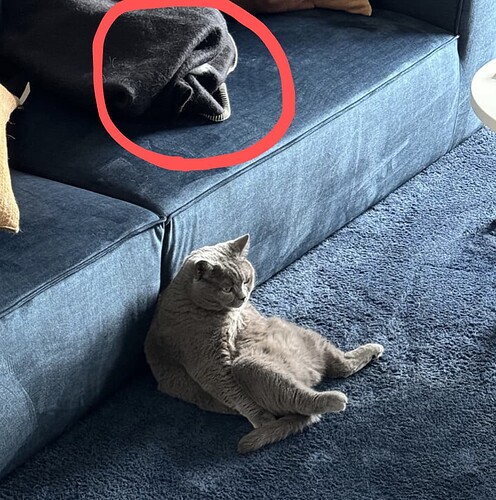 Screenshot_20240915-141117