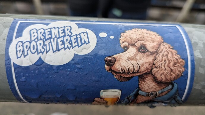 PXL_20250330_135342110