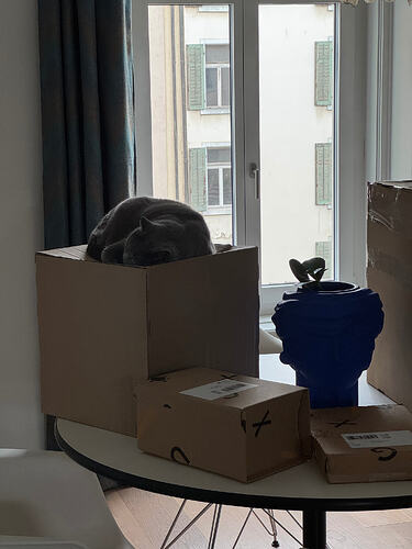 IMG4654