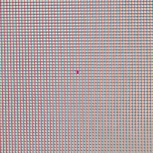 1000079563