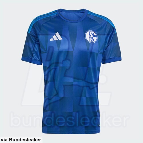 schalke 26 27 kit (2)