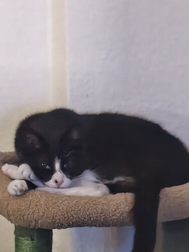 IMG_20250929_231247022