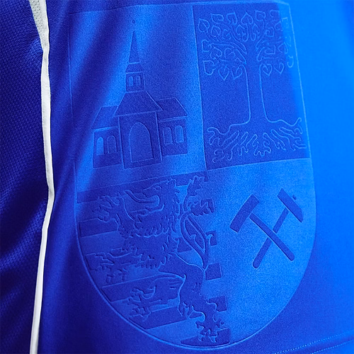 30427-24844-Trikot-Wappen-Gelsenkirchen.jpg_1920x1920