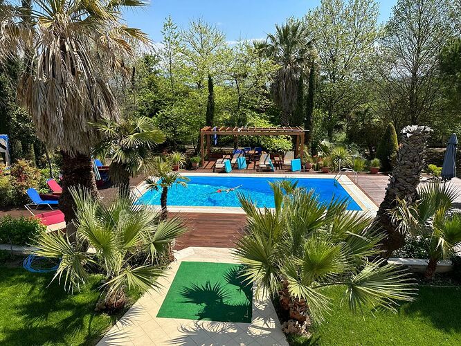 IMG_20231222_154833_132