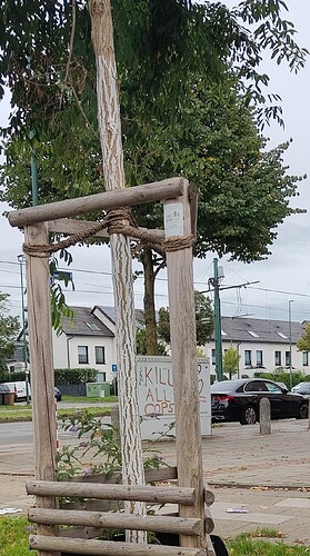 IMG_20250921_174240258_HDR