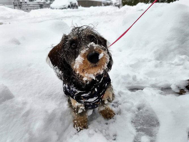 IMG_20231202_114505~2