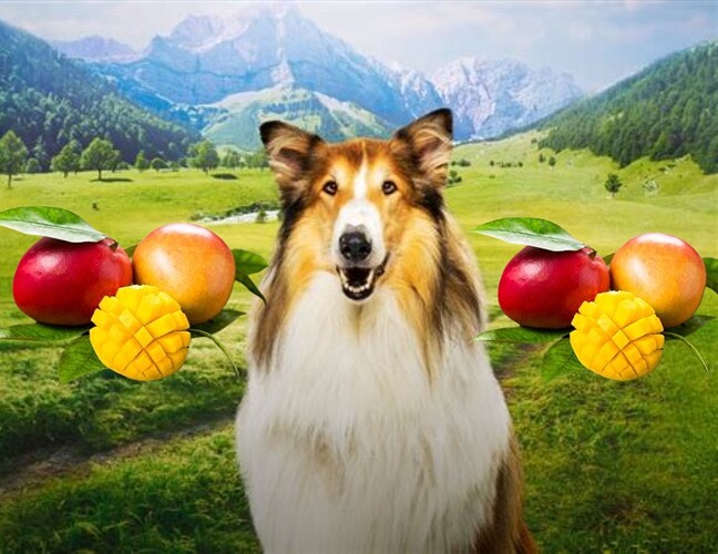 Polish_20251204_073031807