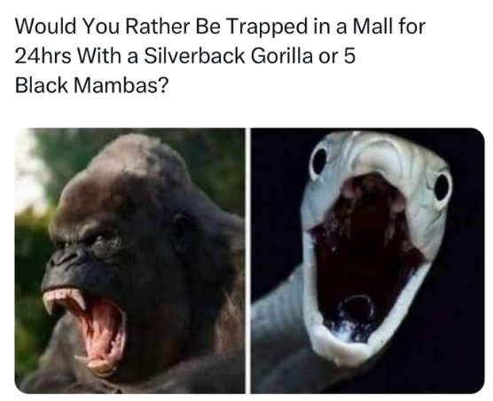 Unbenannt